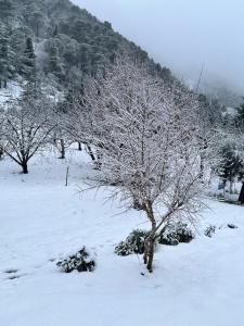 Agriturismo Serra Moneta