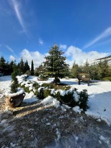 Agriturismo Serra Moneta