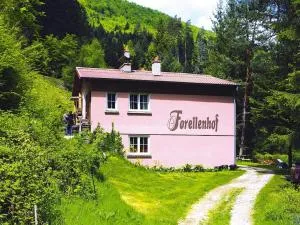 Cosy apartment on Forellenhof, Zorn Valley, Dabo - Dabo