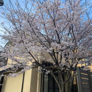 花見宿hanamiyado叡電eiden木野kino-木野駅徒歩1分 1minutes walk from kinostation-衣類乾燥機有-無料駐車場有