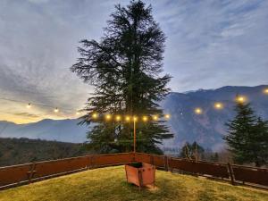 Hygge Home Manali