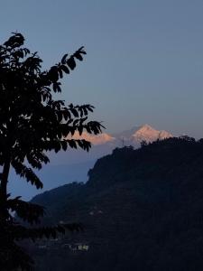 Kanchenjunga view Room No A 203
