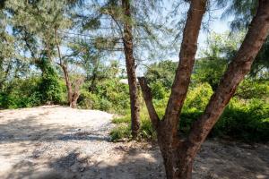 Pine Beach apartment