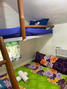 Eco Park - Albur Rental Properties