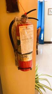 Fresh Place in the City