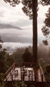 Camptop Munnar