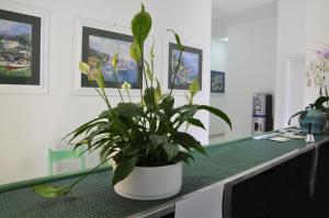 Affittacamere Da Angela img25