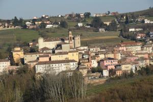 Vignot & Wine