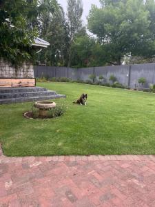 Naude Family Room