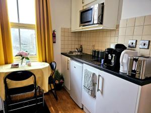 Elegant Spacious Studio Apartment in London