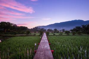 Swankiri Resort สวอนคีรี รีสอร์ท