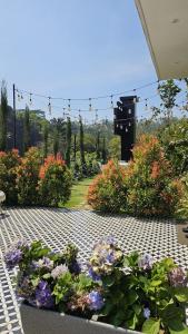 Lilac Hills Resort