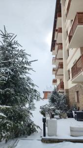 Zlatibor Hills Royal