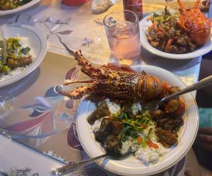 Manta Homestay - Raja Ampat