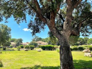 Studio 47 Cala Rossa Porto Vecchio