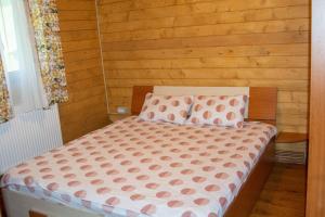 Cabana Doi Brăduți