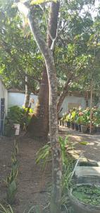 Reegal Villa Weligama