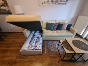 Zatrzymaj się w Toruniu