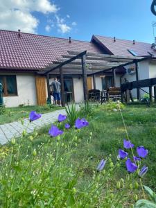 Agroturystyka Jeroniczówka