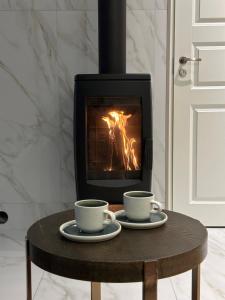 Nordic Bliss Apartment 1