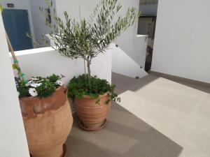 Bettys Serenity House