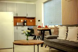 Cityview Studio - 伊纳利