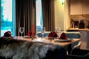 Arctic Glow Apartment - 伊纳利