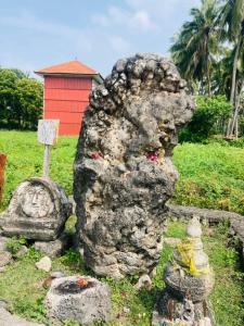 Delft island tuktuk safari