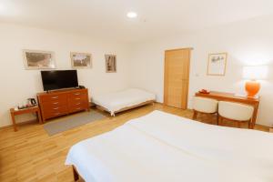 Double Room with Extra Bed room in Penzion Pri Žabarju