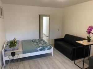 Magnifique Studio entier en RDC