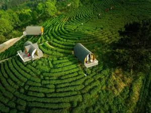 Kolia Resort - Ðỏng Go