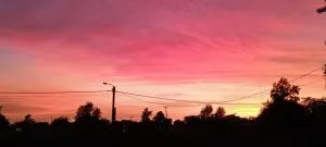 Establecimiento La Audelina - Colonia Elisa