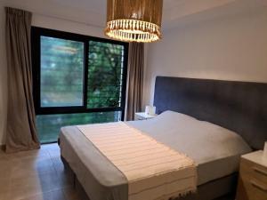 Allende Suite Villa Allende