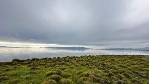 Yurt Camp Alym Ata NomadsHeritage - Bagysh