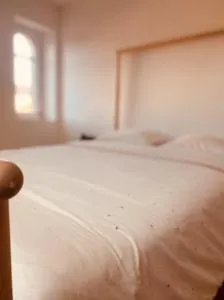 La Maison des Ifs Paon - Blèves