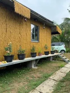 Huong Sen Bungalow - Tay Ninh - Ấp Thanh Sơn (1)
