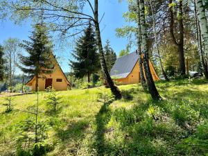 Domki w Lesie Tylicz