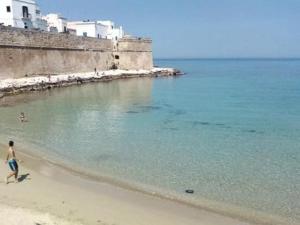 Le acque del passato