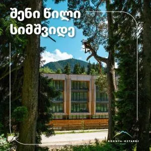 Bakuriani Kohta-Mitarbi Cozy studio B1 - Didi Mitarbi