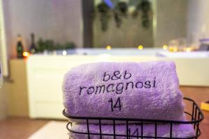 B&B Romagnosi 14