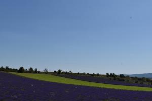 Maisons d'hotes Le Domaine de Piedmoure, Gites et chambres, piscine, terrasses privatives : photos des chambres