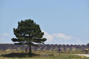 Maisons d'hotes Le Domaine de Piedmoure, Gites et chambres, piscine, terrasses privatives : photos des chambres