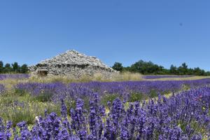 Maisons d'hotes Le Domaine de Piedmoure, Gites et chambres, piscine, terrasses privatives : photos des chambres