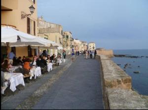 Domo fiorita img15