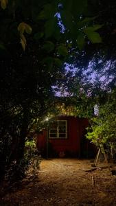 Un trozo de bosque en la ciudad