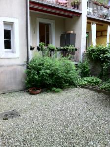 Old city center direct to river Rhine