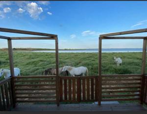 Campings Mariusso : photos des chambres