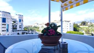 Jardines del Puerto 2 BED apartment