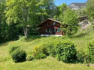 Studeweidli 6-Bettwohnung - Hasliberg Wasserwendi