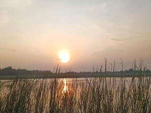 Bundala Ruhunumaya Green villa